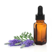 Wellness related image